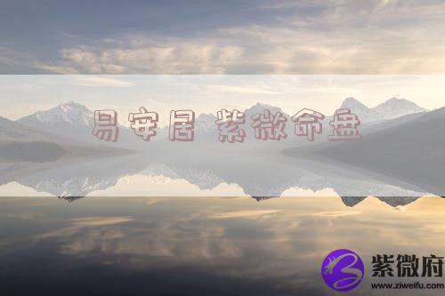 易安居 紫微命盘