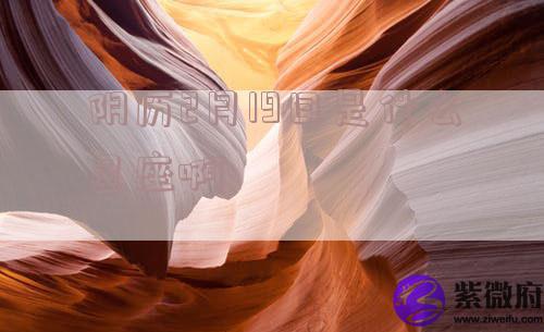 阴历2月19日是什么星座啊