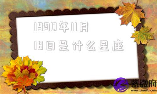 1990年11月18日是什么星座