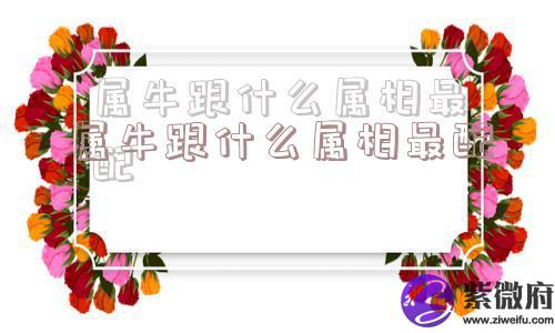属牛跟什么属相最配