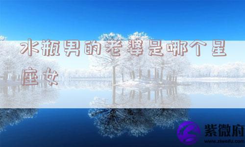 水瓶男的老婆是哪个星座女