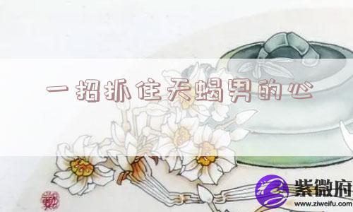 一招抓住天蝎男的心