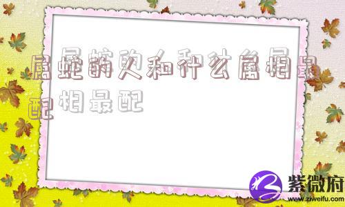 属蛇的人和什么属相最配