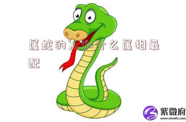 属蛇的人和什么属相最配