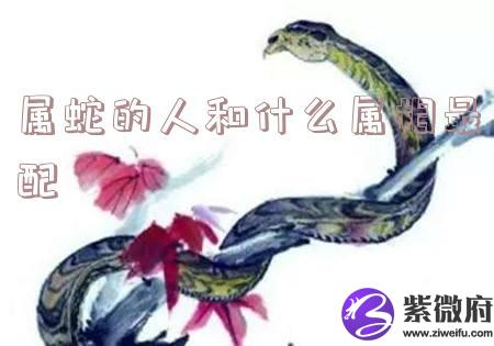 属蛇的人和什么属相最配