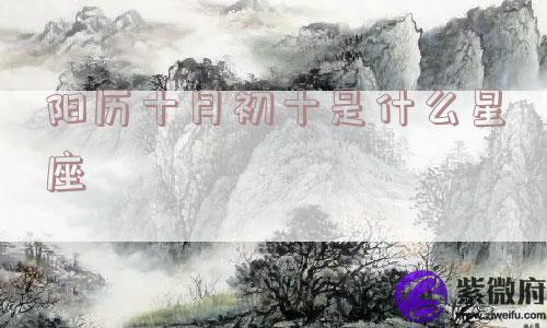 阳历十月初十是什么星座