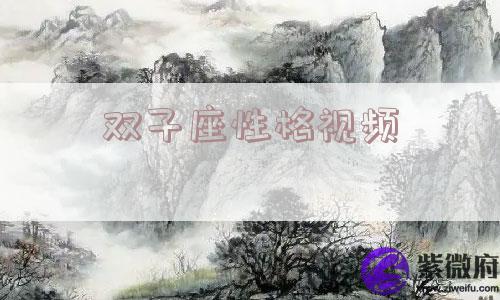 双子座性格视频