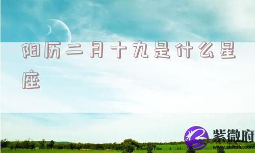 阳历二月十九是什么星座