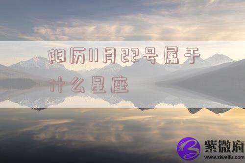 阳历11月22号属于什么星座