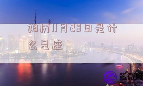 阳历11月28日是什么星座