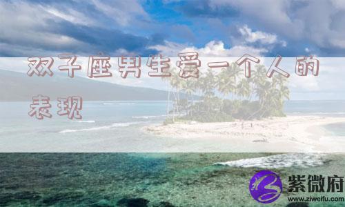 双子座男生爱一个人的表现