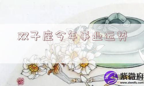 双子座今年事业运势