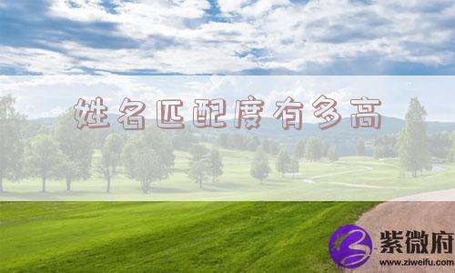 姓名匹配度有多高