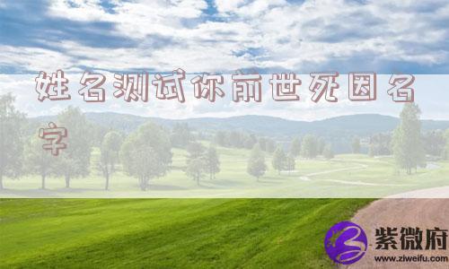 姓名测试你前世死因名字