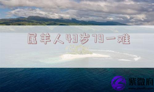 属羊人43岁79一难
