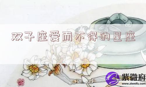双子座爱而不得的星座