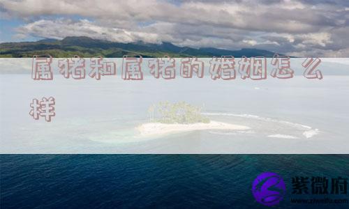 属猪和属猪的婚姻怎么样
