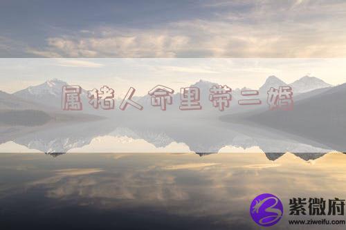 属猪人命里带二婚