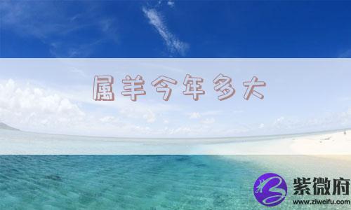 属羊今年多大