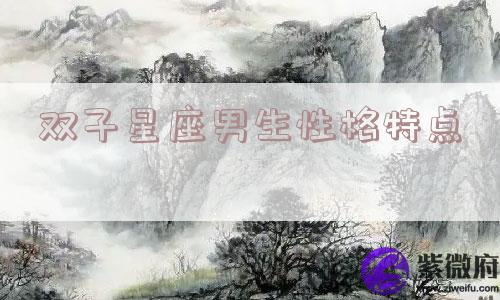 双子星座男生性格特点