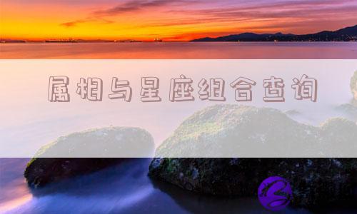属相与星座组合查询