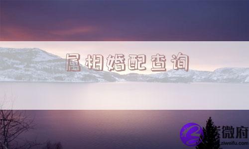 属相婚配查询