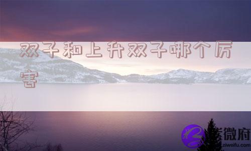 双子和上升双子哪个厉害