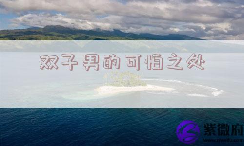 双子男的可怕之处