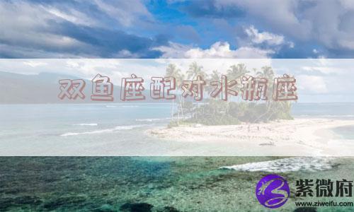 双鱼座配对水瓶座