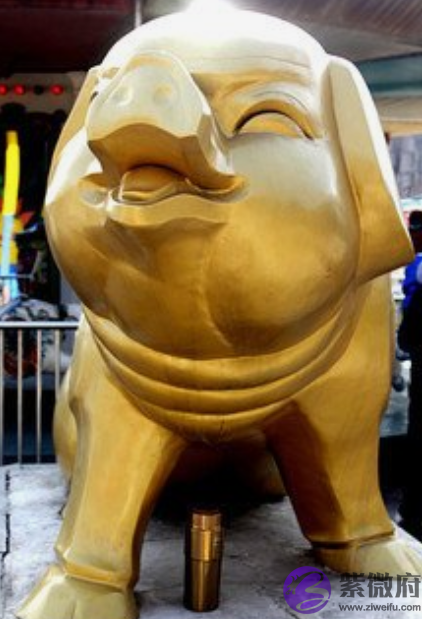 生肖属猪今年桃花运势