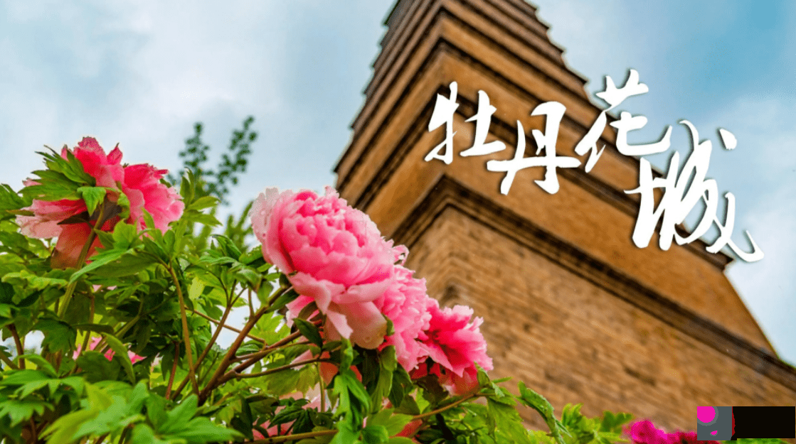 中国著名姓名学大师,怎麽样才能给宝宝取一个好名字