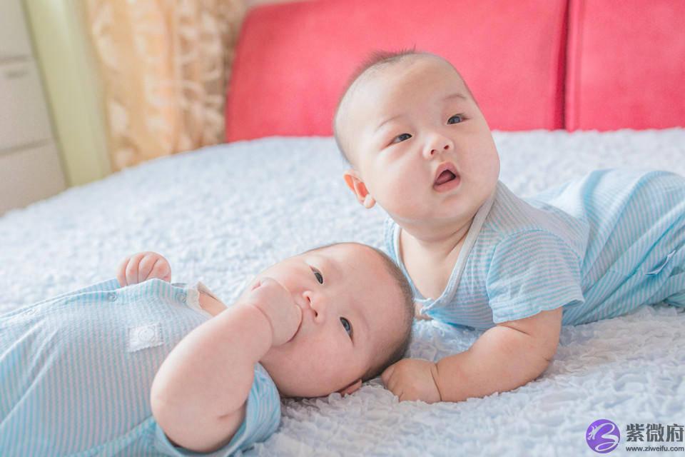 虎年宝宝起名，晏平起名，赵姓双胞胎男宝宝起名大全