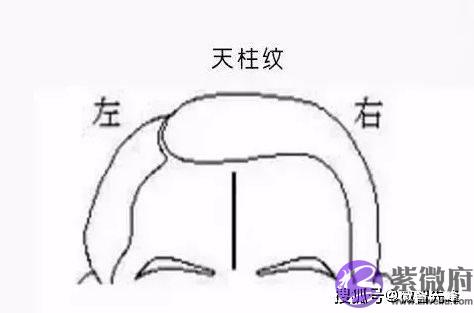 额头有天柱纹的人，通常可成就一番事业