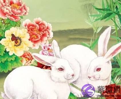 都说这2个生肖相冲, 其实他们婚后最能聚财, 早晚家产百万!