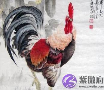 都说这2个生肖相冲, 其实他们婚后最能聚财, 早晚家产百万!