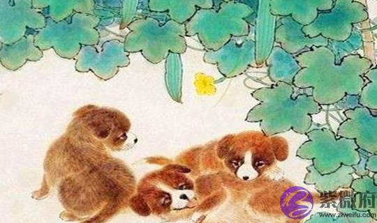 哪几对生肖在一起，是老天爷钦点龙凤配，能恩爱三生，情定三世！