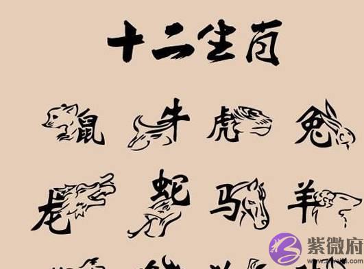 十二生肖为什麽存在，如何看待生肖婚配之说？真的可信吗？