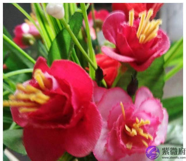 丙火卯月天干财官两透取印为夫大运甲午夫登科甲夫荣妇贵