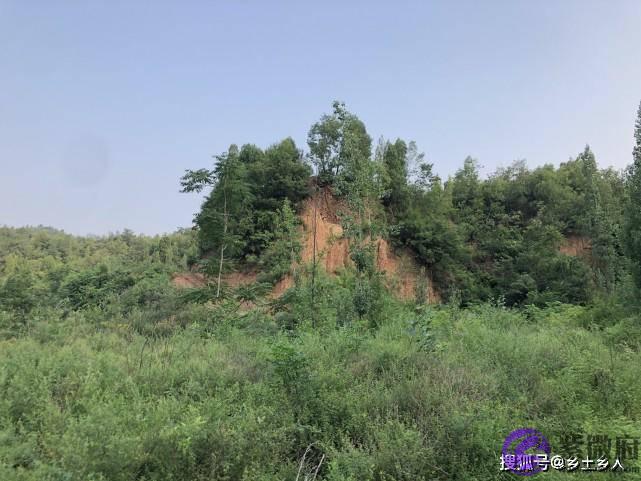 明天是纯卯日，俗话说：“雨淋纯卯头，遍地起坟头”，啥是纯卯？