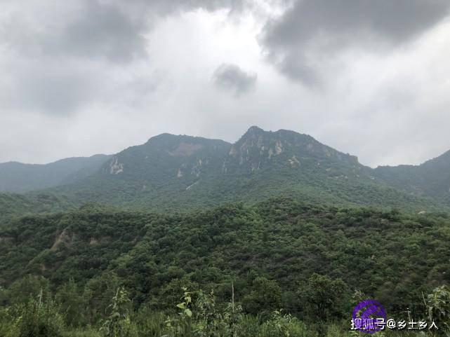 明天是纯卯日，俗话说：“雨淋纯卯头，遍地起坟头”，啥是纯卯？
