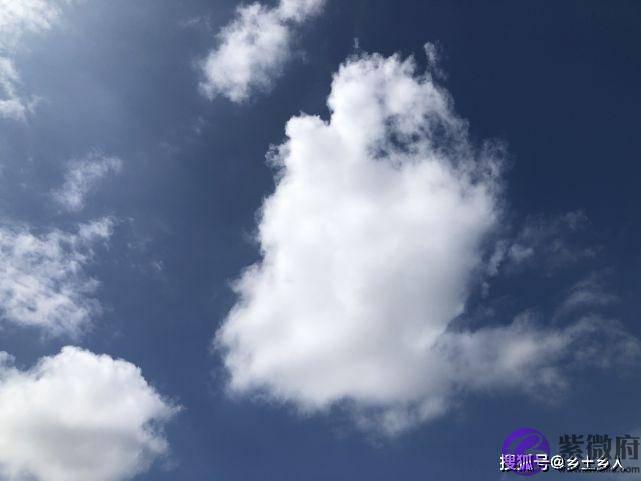 后日端午，俗语“过端不过卯，先卯而后端”，端节和端午有啥区别