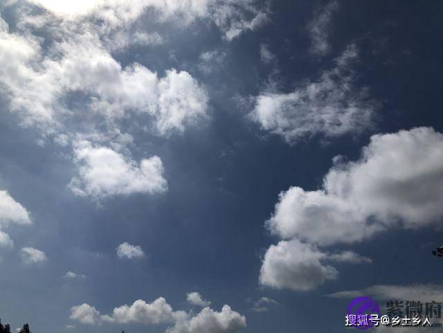 后日端午，俗语“过端不过卯，先卯而后端”，端节和端午有啥区别