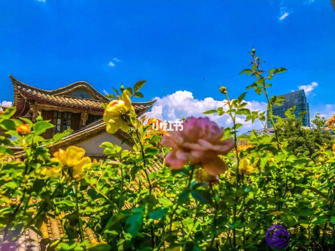 生辰八字详细分析：十几年的婚姻为何会在17年离婚了？