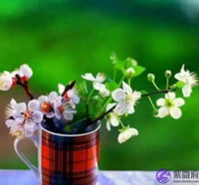 丙火五月天干戊癸化火比劫重重财星不旺群比劫财兄弟无靠