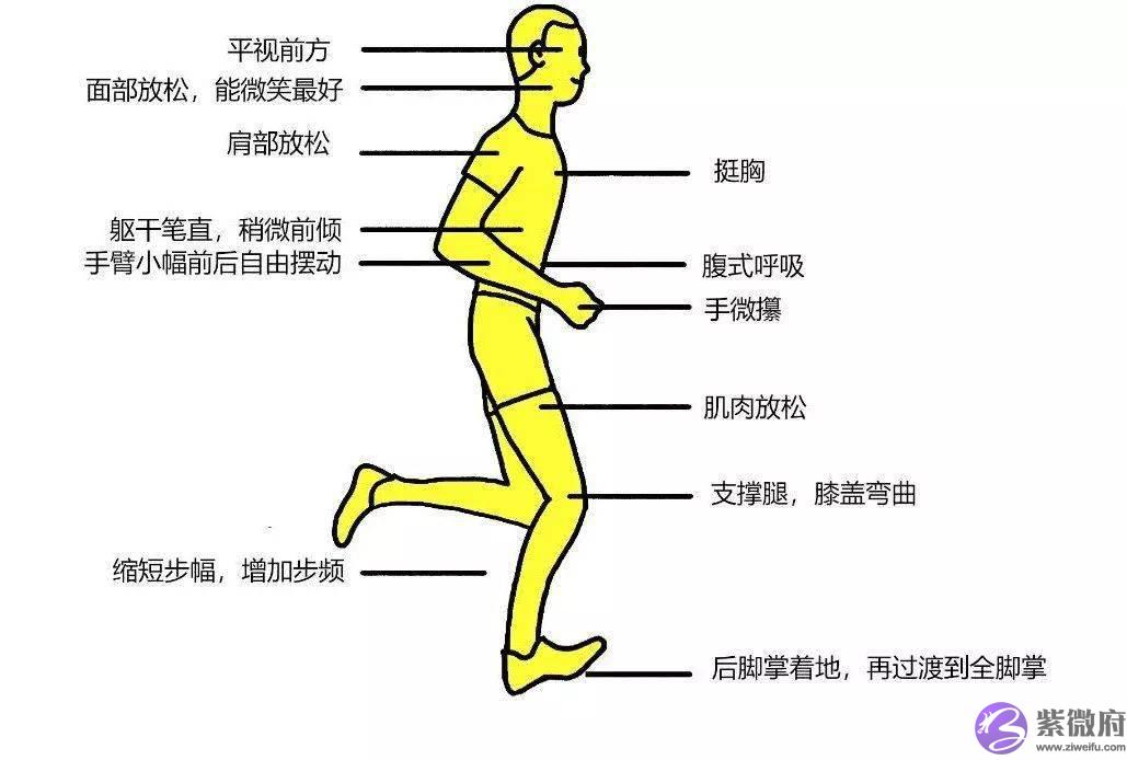 不想跑出一身病，这个姿势你必须Get！附跑步损伤10大疗法！