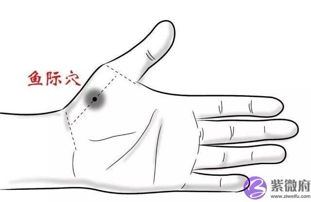 夜里若这两个时辰醒来，表明内脏可能出问题了，别不放心上！
