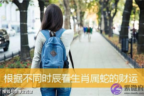 根据不同时辰看生肖属蛇的财运