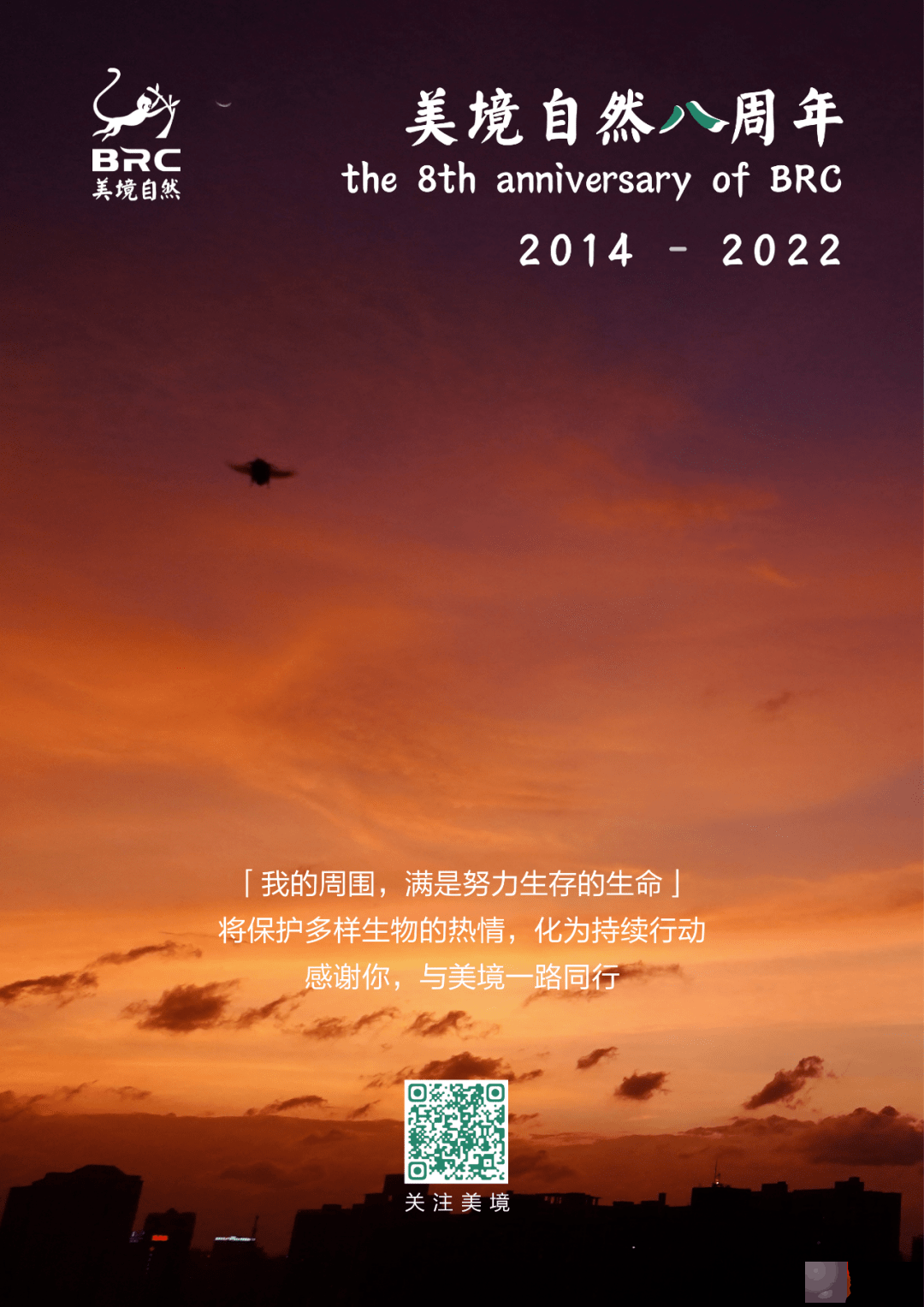 今年生日，想听你的故事｜美境八周年