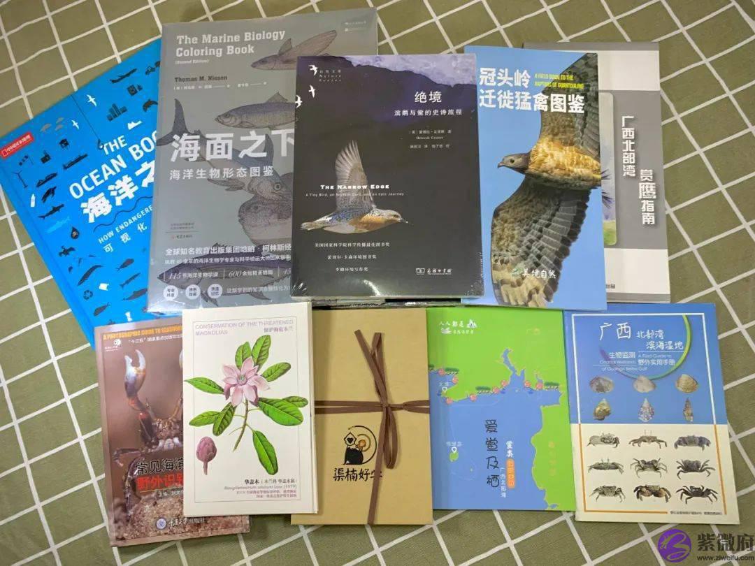 今年生日，想听你的故事｜美境八周年