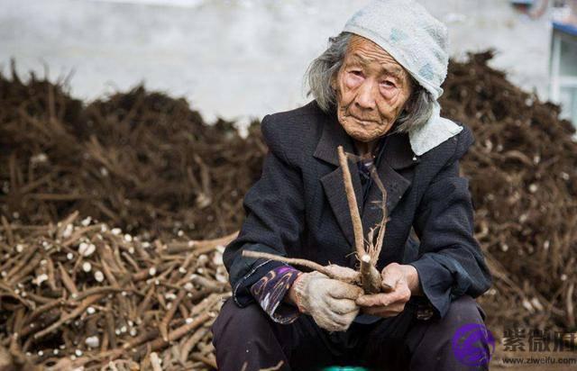 俗话说“百年难遇寡妇年”有什麽含义？为何2019年只有354天？
